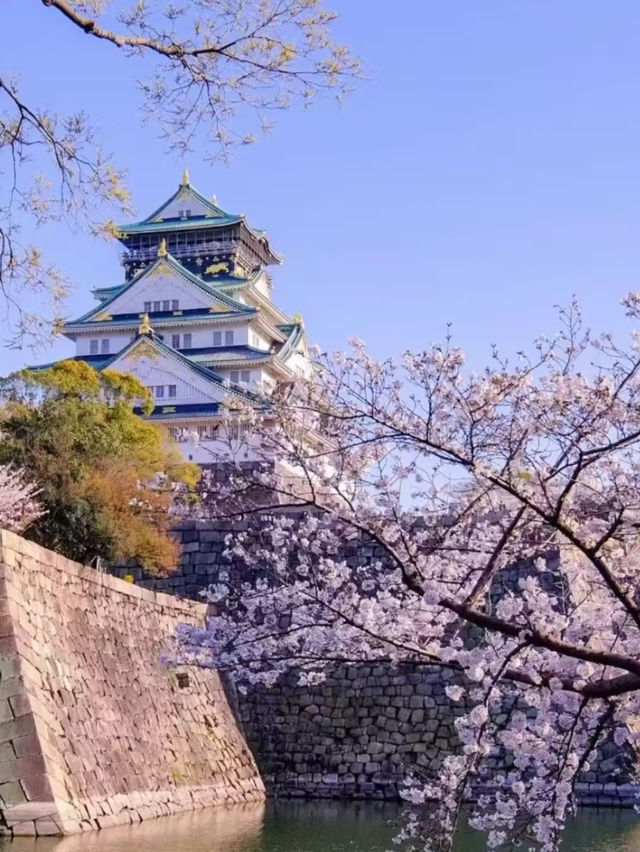 Osaka Castle park full of flowers 💐🇯🇵