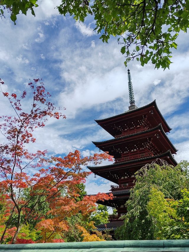 日本青森打卡日本東北神秘之地。