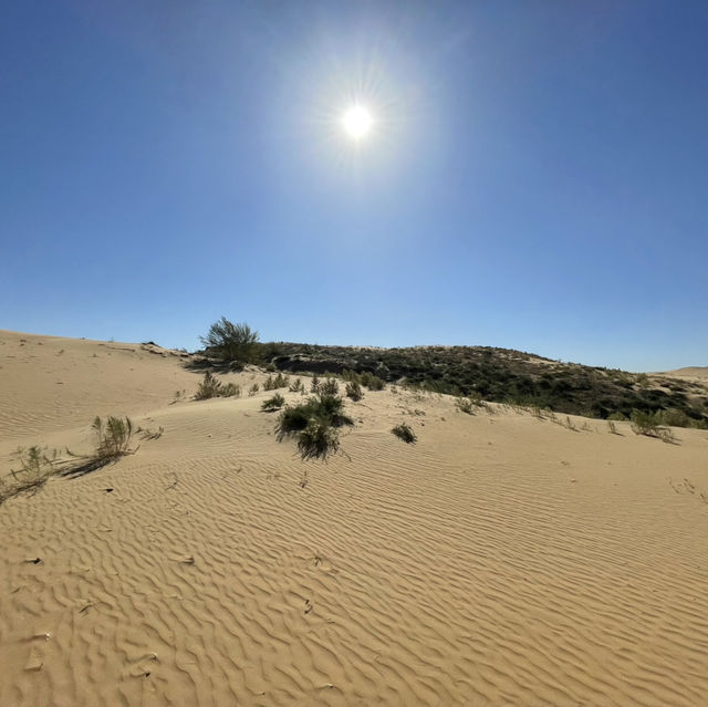 Discover the Enchantment of Kubuqi Desert: A Land of Endless Dunes and Timeless Beauty