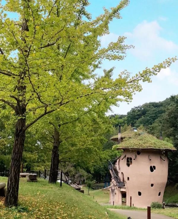 Discover the Hidden Moomin Park in Saitama!