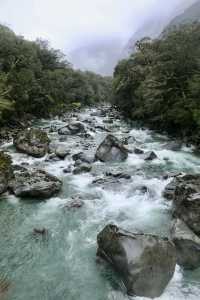 蒂阿瑙—米爾福德峽灣沿途的治癒系風景