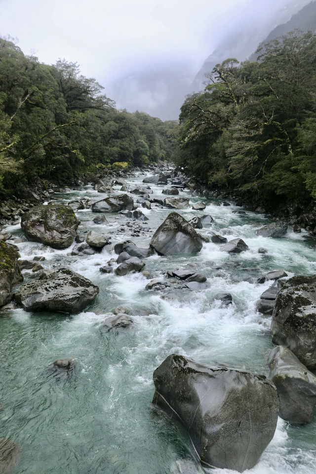 蒂阿瑙—米爾福德峽灣沿途的治癒系風景