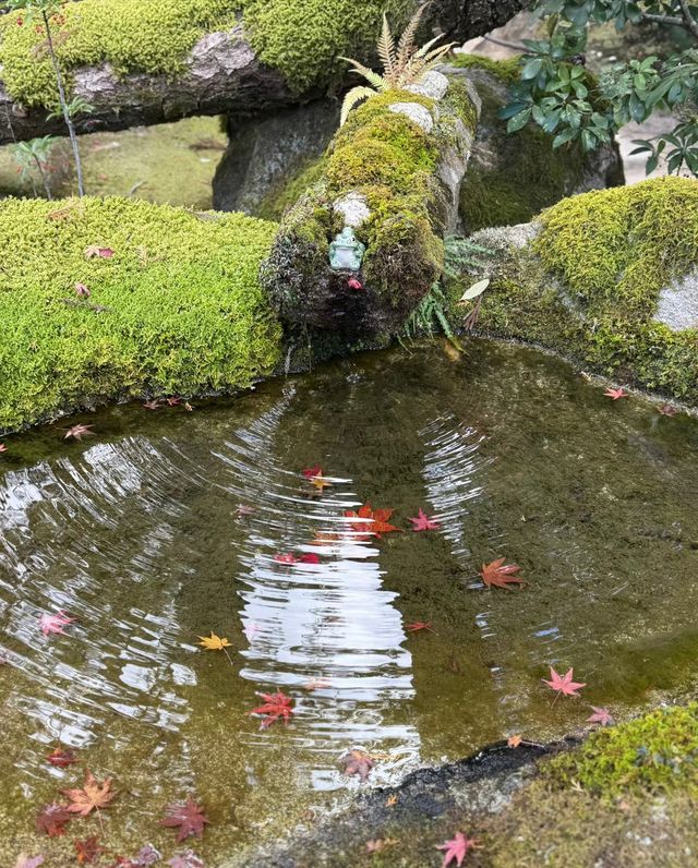 京都