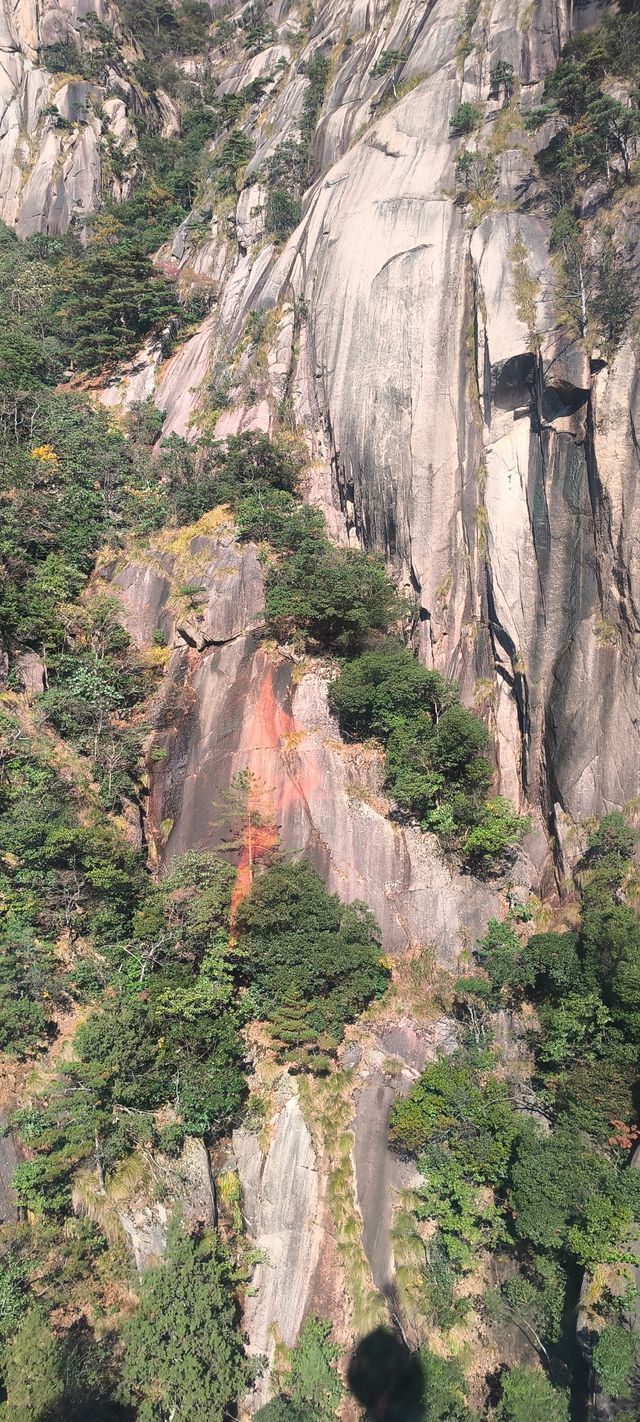 周末黃山遊