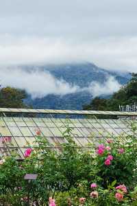 清邁親子遊 依山而建的詩麗吉皇后植物園妥妥的大氧吧