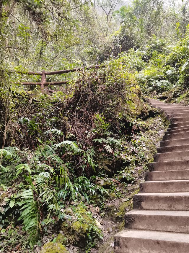 成都——都江堰青城山（後山）