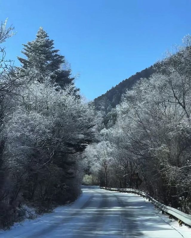 神農架的冰雪奇緣，夢幻之旅等你來！