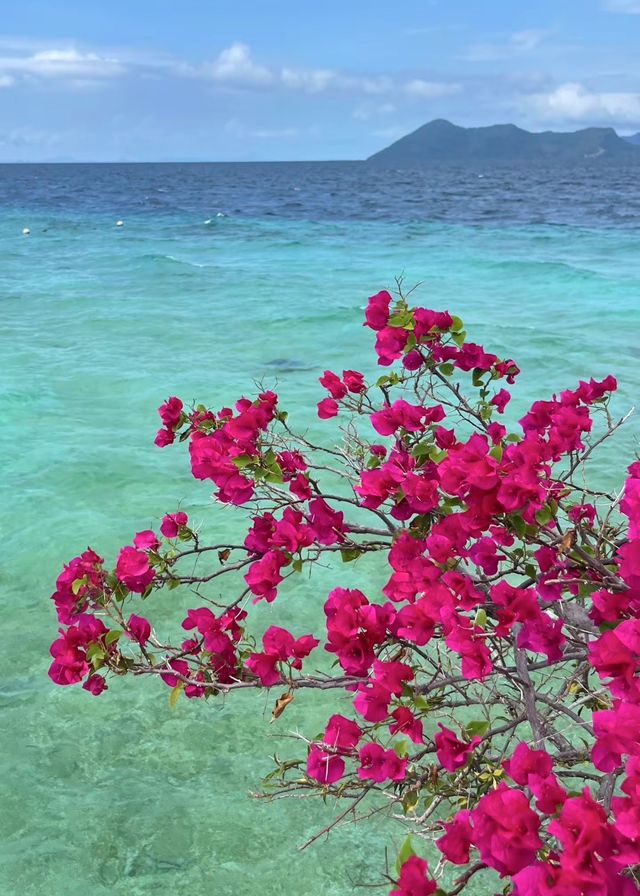 仙本那——夢幻海洋之旅