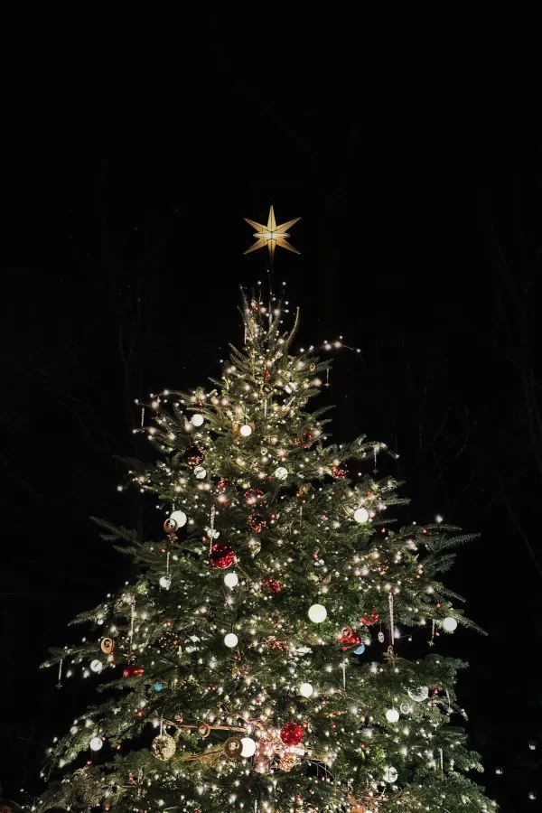 Discover the Best Christmas Tree in Japan at Karuizawa's Highland Church!