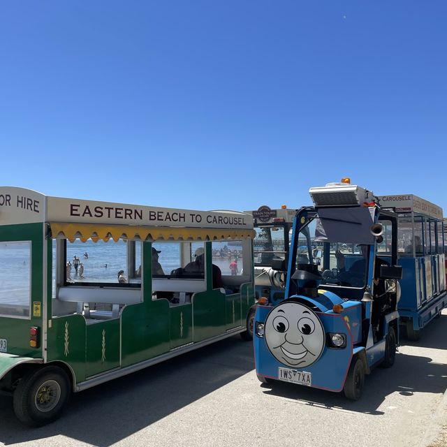 멜버른 당일치기 근교여행, 질롱 라군에서 수영하기 : Eastern Beach