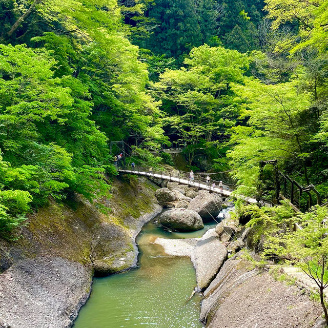 Fukuroda Falls: A Summer Escape in Ibaraki🍃