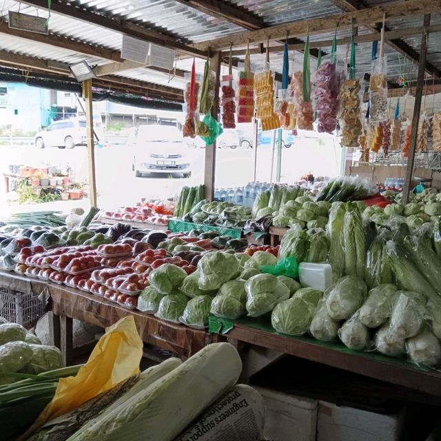 Explore Nabalu, The Perfect Pitstop to Kundasang's Highlands