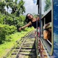 Experience the Breathtaking Journey: Kandy to Ella Train Ride! 🚂🌄 