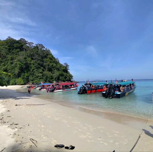 Underwater Wonders and Culinary Delights: My Adventure in Redang Island, Terengganu Malaysia.