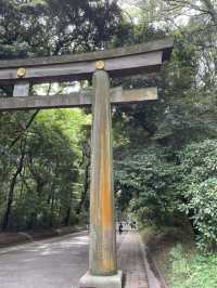 Serenity in the Heart of Tokyo: A Walk through Meiji Jingu