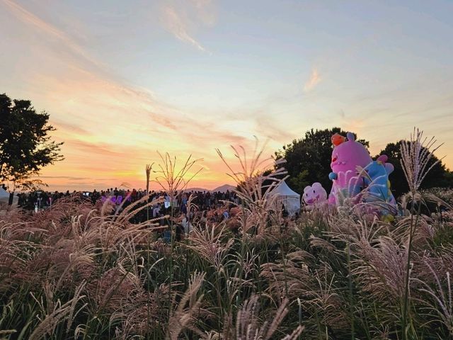 A breathtaking sunset view from Hanuel Park at Seoul