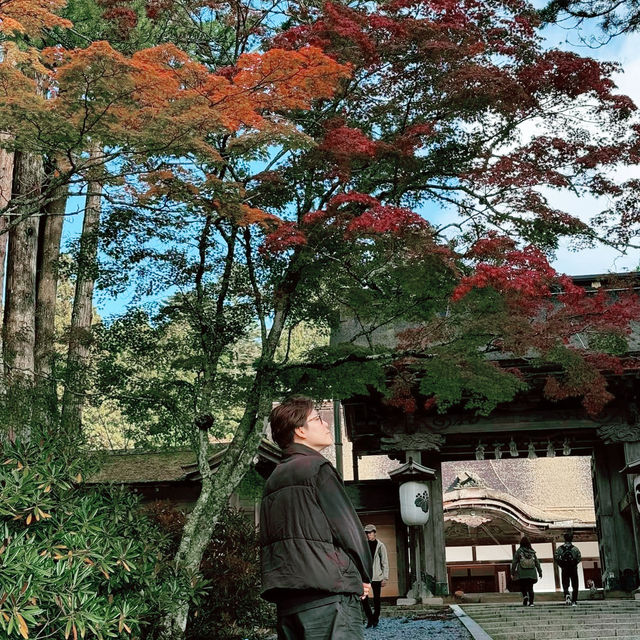 Koyasan UNESCO World  Heritage temple lodging