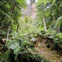 Thrilling Adventures at Scenic World Blue Mountains