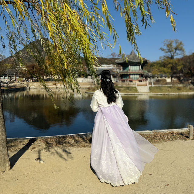 Unforgettable Hanbok Photoshoot at Gyeongbukgong Palace!