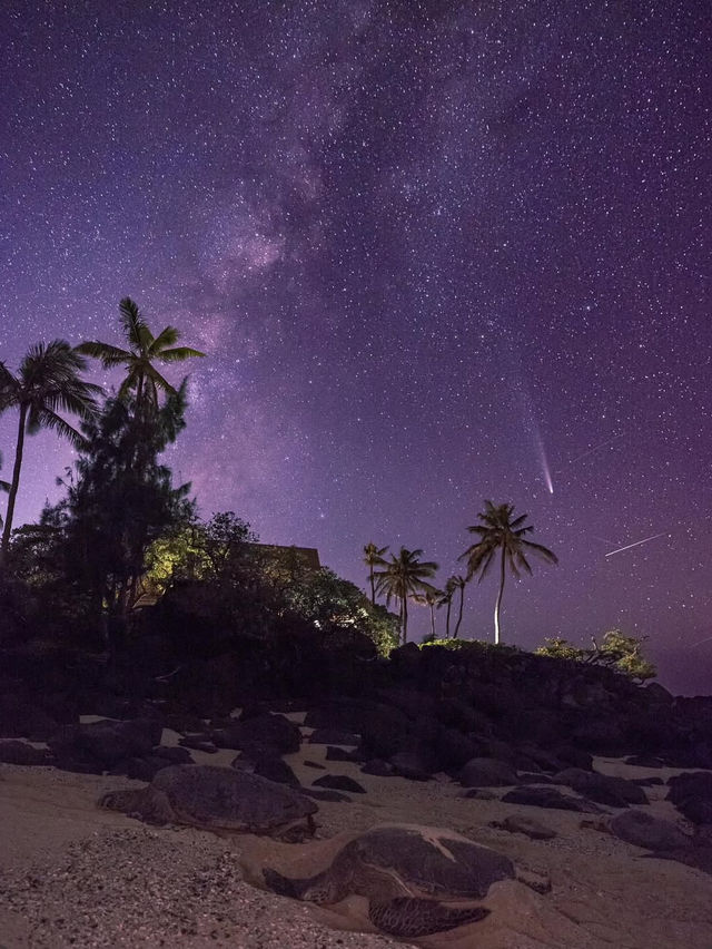 3 Reasons Santa Loves Oahu🎅🏼