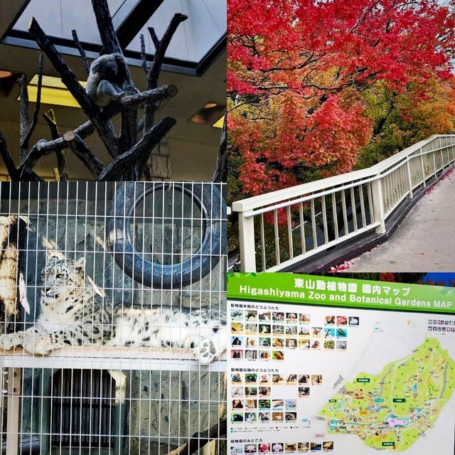 Higashiyama zoo & botanical garden