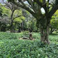 Shinjuku Gyoen National Garden (Tokyo)