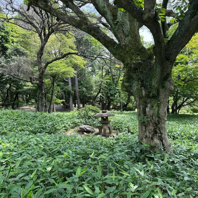 Shinjuku Gyoen National Garden (Tokyo)