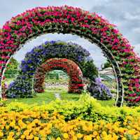 A Colorful Day Out at Chung She Flower Garden