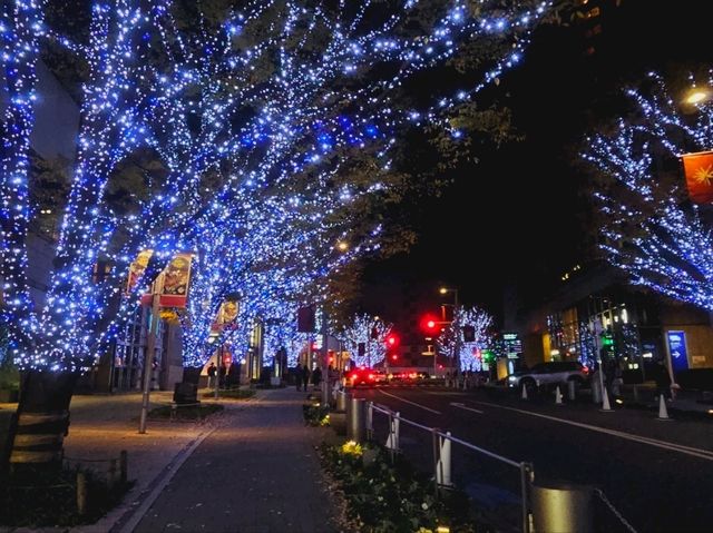 The magical illumination at Ropponggi Hills at Keyakizaka