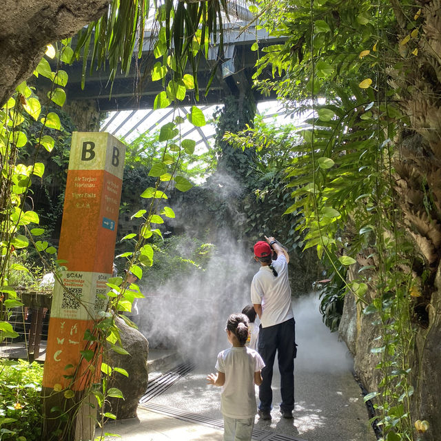 Feeling like a Butterfly @ entopia Penang