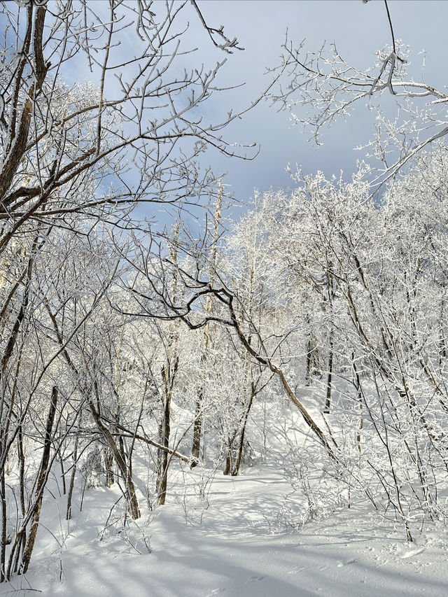 不是雪鄉住不起，而是雪谷更有性價比