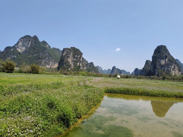 廣西旅遊｜打卡明仕田園，一眼就被驚艷到。