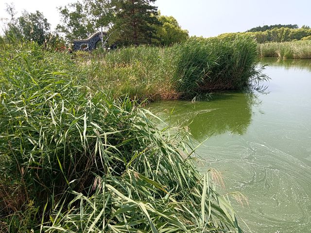 五大連池藥泉湖。