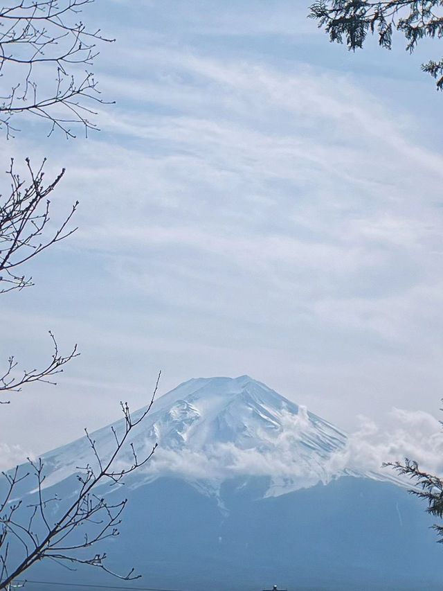 一定要來一次富士山。