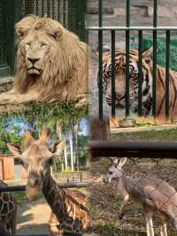 廣州動物園保姆級攻略 | 僅需 20 元暢玩一整天