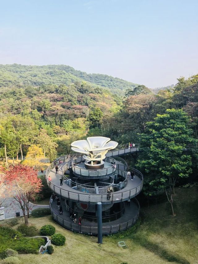 廣州雲蘿植物園