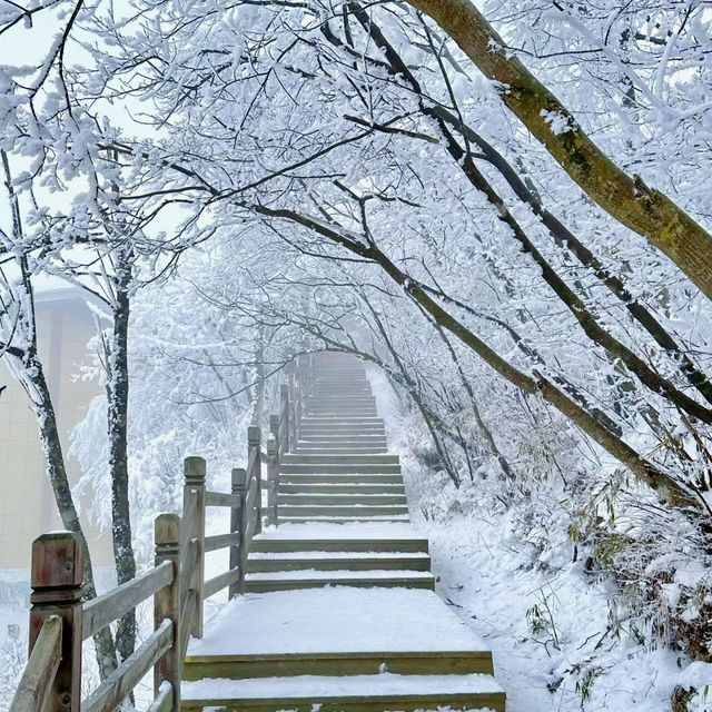 🏔 🥶 🏔 Winter Snow in Sichuan 🏔🥶🏔