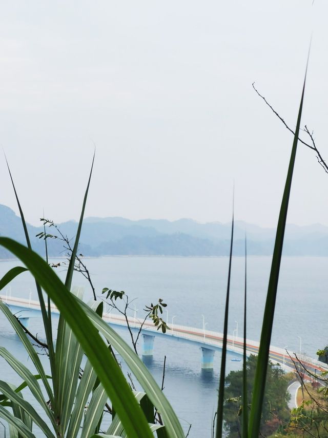 周末打卡千島湖騎士公園