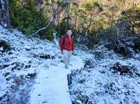 Cradle Mountain: A Hiker's Dream Adventure!