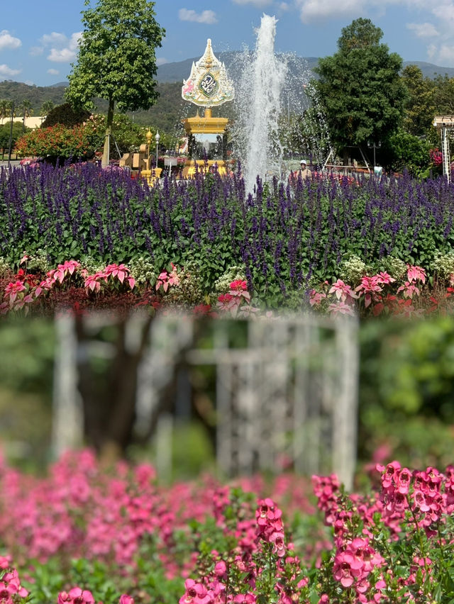 A Spring Stroll in Royal Rajapruek Park