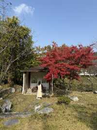 (실시간) 김제 금산사 갔다가 들르면 좋을 단풍 뷰 카페🍁❤️