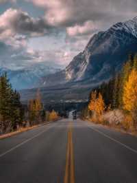 Fall in Love with the Drive to Jasper 