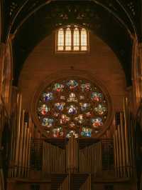 Heavenly Lights: A Christmas Spectacle at St Mary’s Cathedral