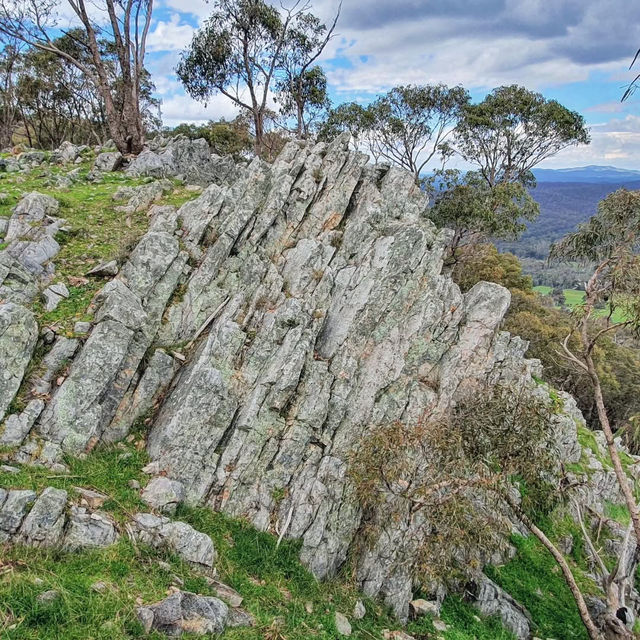 Nature’s Hidden Gem: Exploring Heathcote-Graytown