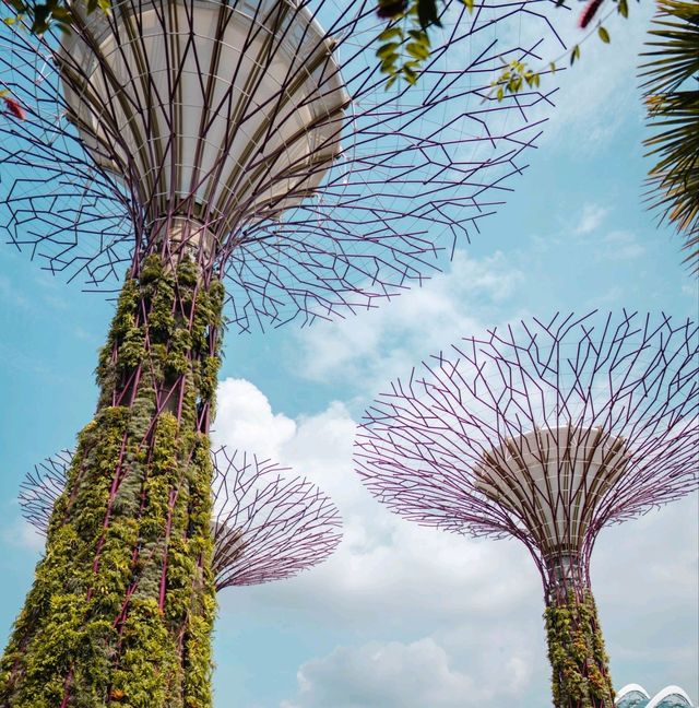 Singapore 1 Day Itinerary