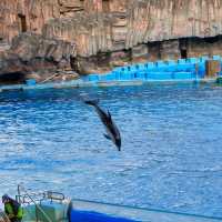 名古屋港水族館