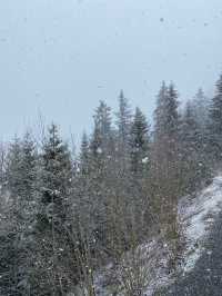 winter wonderland hike in Swiss mountains