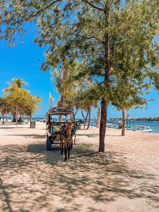 길리 제도 🏝️