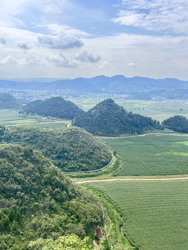 羅平金雞峰叢