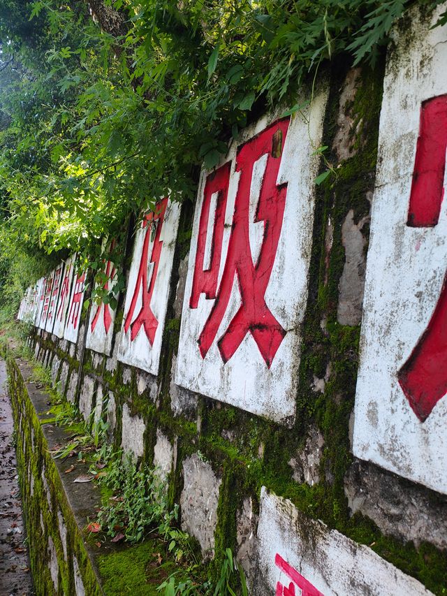 昆明周末爬山好去處—西山公園。